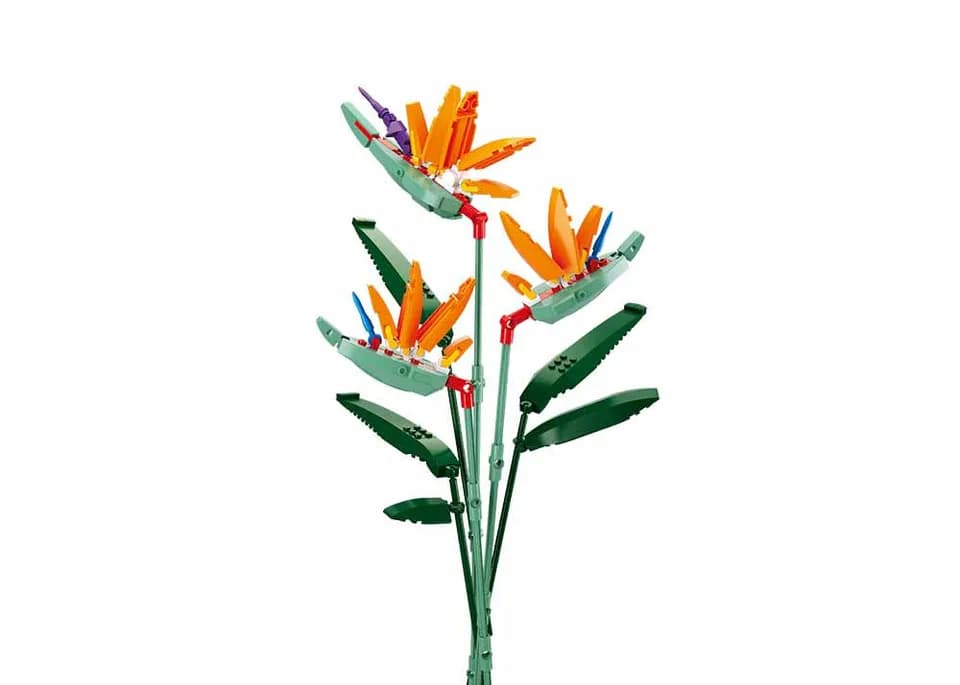 Bird Of Paradise Arrangement (M38-B1121C)