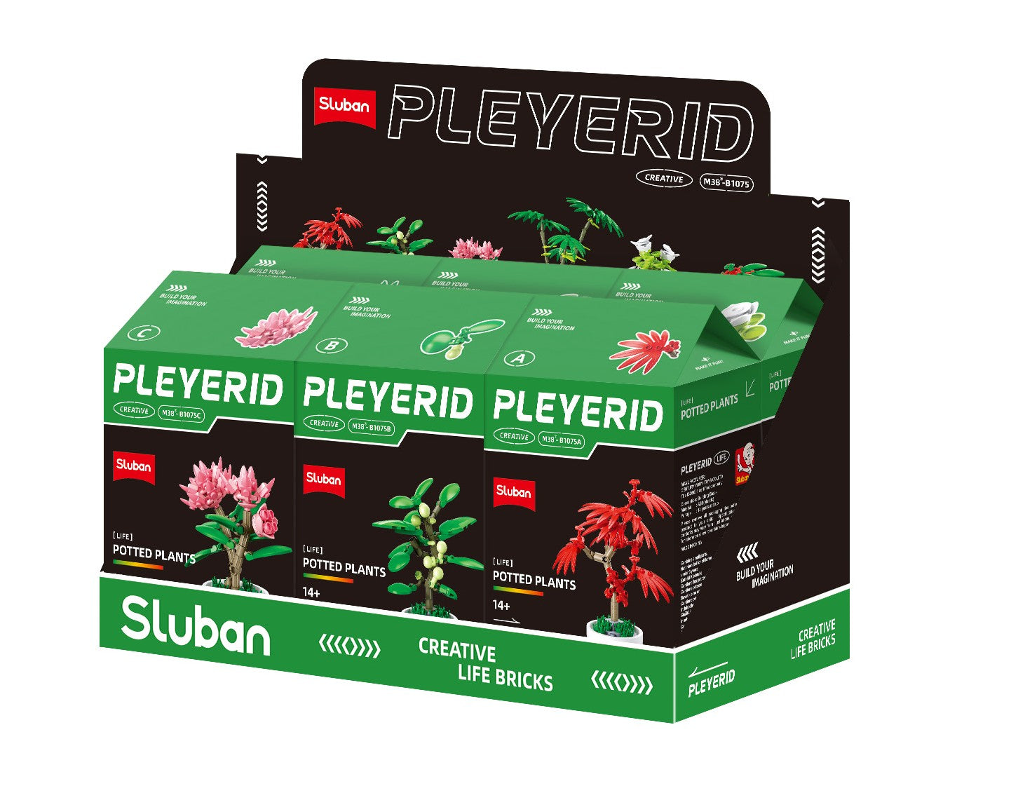 Potted Plants Life (M38-B1075)