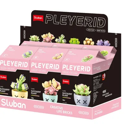 Potted Plants Succulent (M38-B1076)
