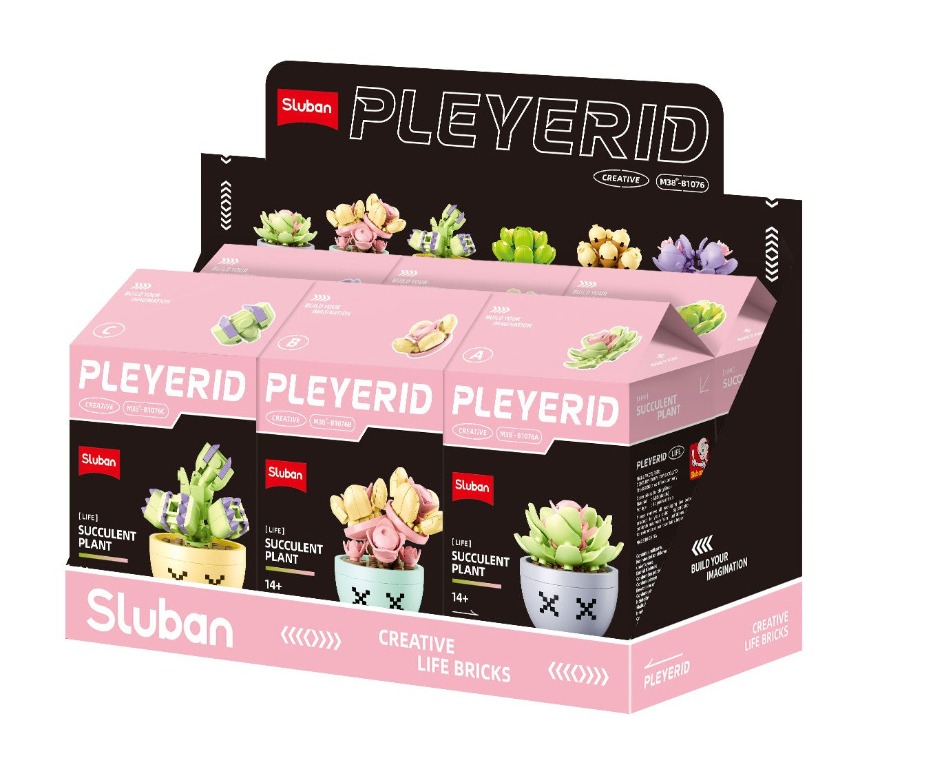 Potted Plants Succulent (M38-B1076)